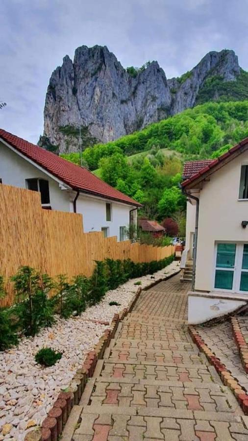 Hotel Casa Jax Rimeti Exteriér fotografie