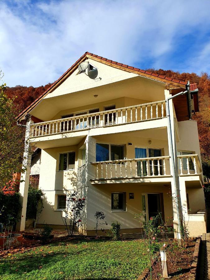 Hotel Casa Jax Rimeti Exteriér fotografie